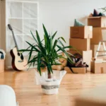 déménagement pas cher