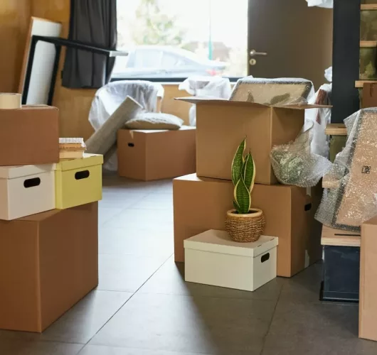 Organisation du jour J